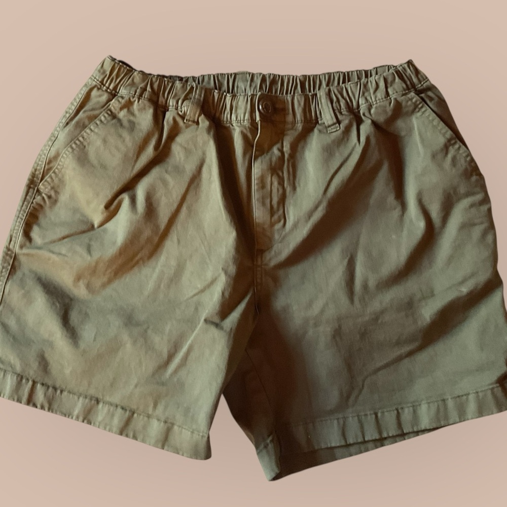 Chubbies Men’s Regular Fit ,Elastic Waistband Shorts